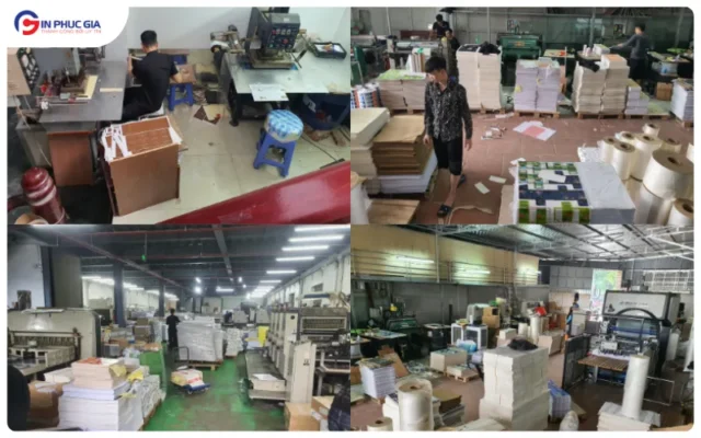 Xưởng In Phúc Gia Nền Tảng Khép Kín Sản Xuất Bao Bì & Ấn Phẩm Nhận Diện Cho Doanh Nghiệp (Tối Ưu Chi Phí 2026)