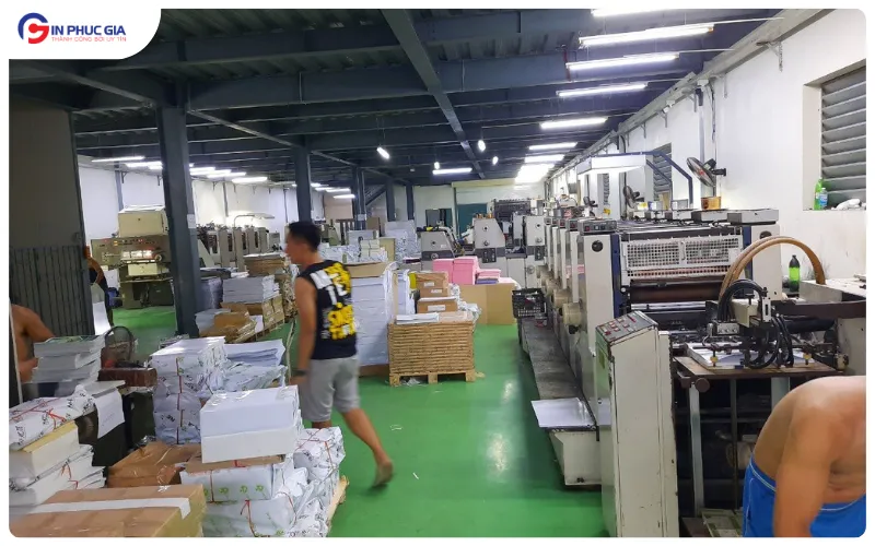 Phân Tích Chuyên Sâu Tại Sao Doanh Nghiệp Cần Trực Tiếp Hợp Tác Cùng Xưởng In Bao Bì Giấy Phúc Gia
